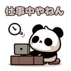 Panda's Daily Delights