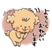 chocoholic_20240504145508