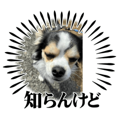 YUKA_20240505180136