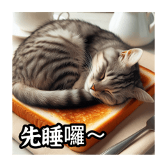 Cat Star Gastronomy