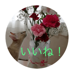 takeru &raki_20240505190327