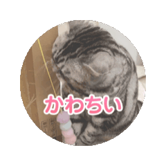 yuka_20240506121157