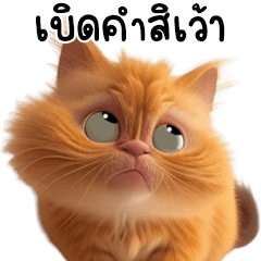 Orange Cat TuaTueng (Isan)