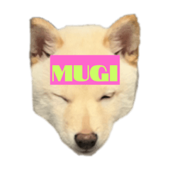 poemi_20240506170504