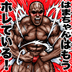 Hamatchan dedicated Muscle macho 6