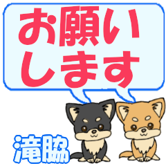 Takiwaki's letters Chihuahua2