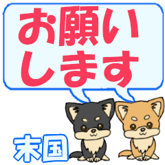 Matsukuni's letters Chihuahua2