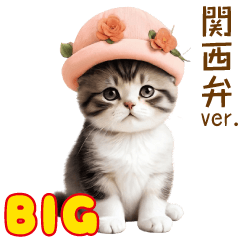 スコティッシュ猫 ピンク帽BIG 関西弁ver.