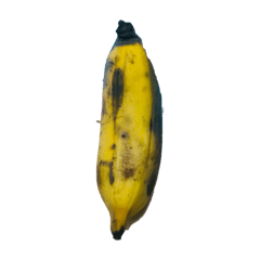 Bananas..
