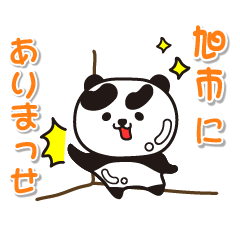 chibaken asahishi Glossy Panda