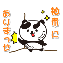 chibaken kashiwashi Glossy Panda