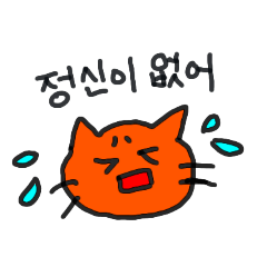 Korean orange cat