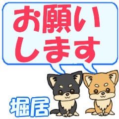 Horikyo's letters Chihuahua2