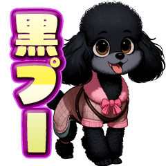 Black toy poodle girl "mayu"