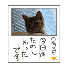 MICHIKO_20240507210811