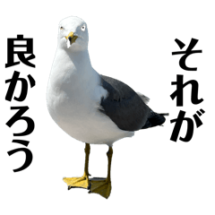 wasen_20240508082706