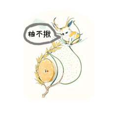 麻豆文旦