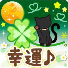 Black cat, lucky clover popup japan