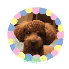 Dog Stamp Komu