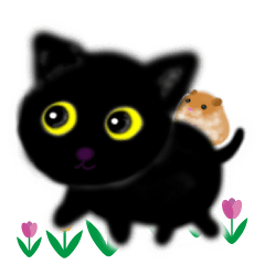 [Moving] kitten black cat hamster