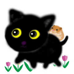 [Moving] kitten black cat hamster