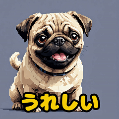 Pug stamps that can be used every day1