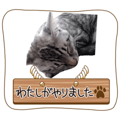 abcdefg_20240508181329