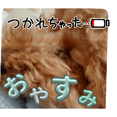 taizouzzz_20240508164759