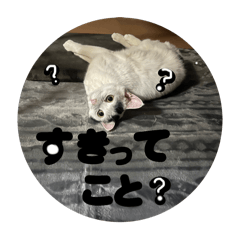 yuka_2003