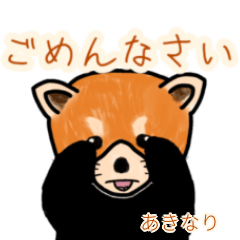 Akinari's lesser panda