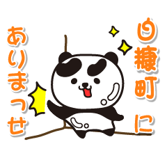 hokkaido shiranukacho Glossy Panda