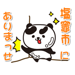 miyagiken shiogamashi Glossy Panda