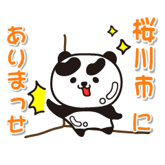 ibarakiken sakuragawashi Glossy Panda