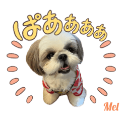 Pup Mel