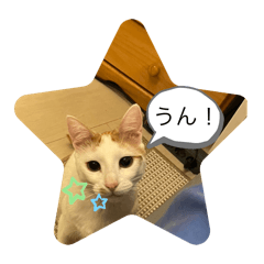 Yuka_20240508191901