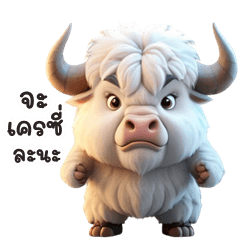 Funny white buffalo (THAI)