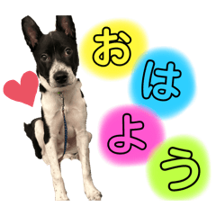 tkppa_20240509070318