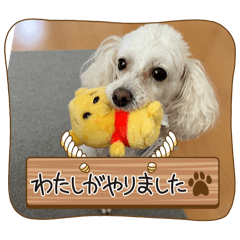 manmaru_20240509131609