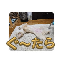 SY_20240509004448