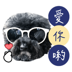 ODA探險