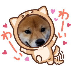 yuka_20240509165756