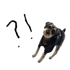 r_20240509171358