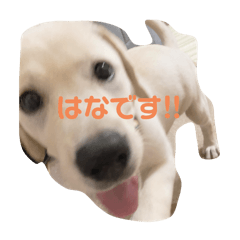 r_20240509202207