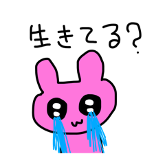 wwwww_20240509193441