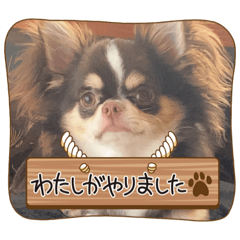 YUKA_20240509210700