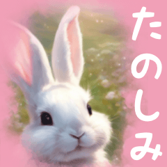 White rabbit honorific language(BIG)
