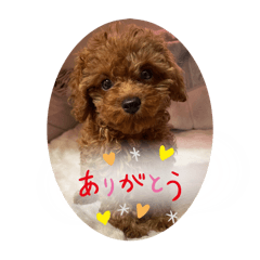 Shuri Teramura_20240510114618