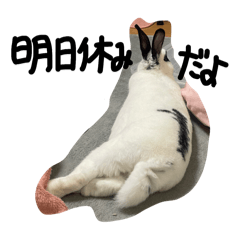 nakasuzu_20240510090514