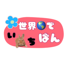 Usagi no Ichi-kun Daily greetings