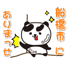 chibaken funabashishi Glossy Panda